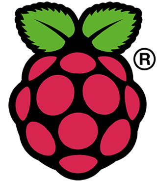 Logo Raspberry Pi